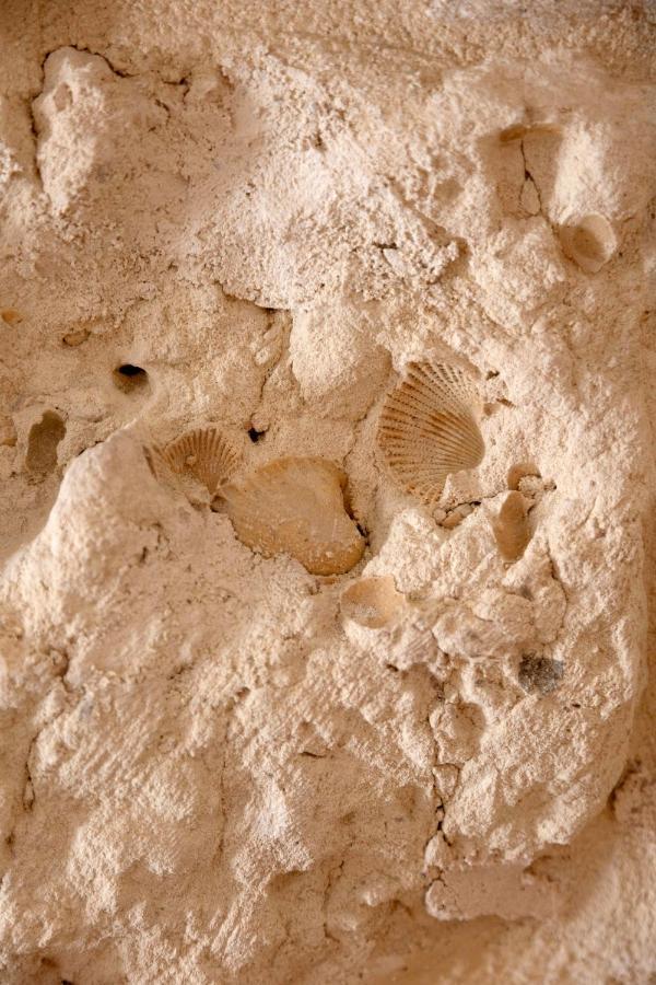 Apulian House Hotel Brindisi Bagian luar foto